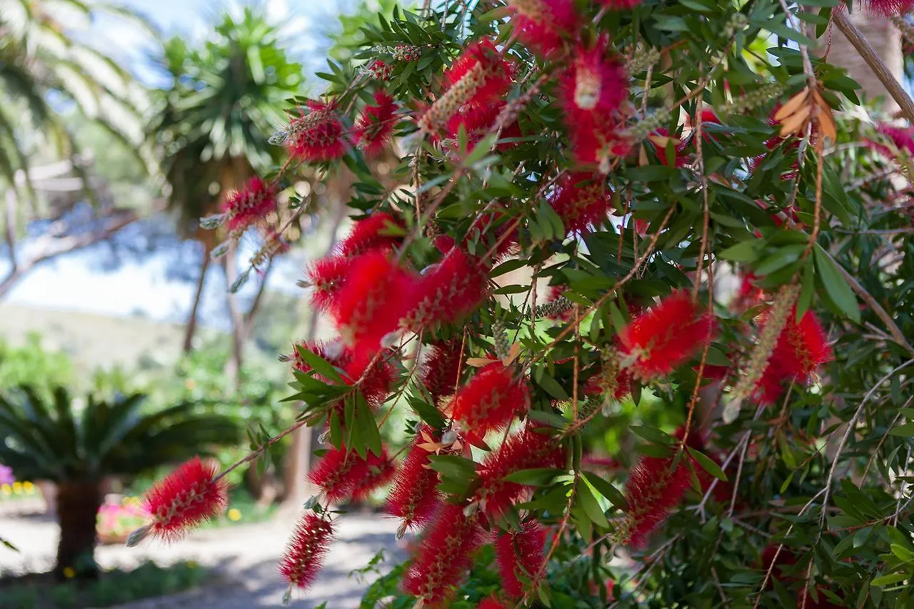 Bed & Breakfast Villa Bengodi Fonteblanda